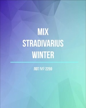 Купить STRADIVARIUS Winter mix#15 кг, ЛОТ №2259 оптом в Москве и Московской области