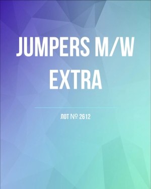 Купить Джемпер муж+жен экстра#15 кг , Лот№2612 оптом в Москве и Московской области