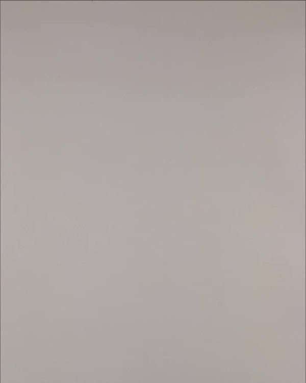 Фотография  705 - Нижнее белье Bon Prix дети#50 шт, ЛОТ №3242 оптом в Москве и Московской области