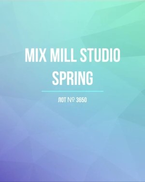 Купить MILL STUDIO Spring mix#15 кг, ЛОТ №3650 оптом в Москве и Московской области