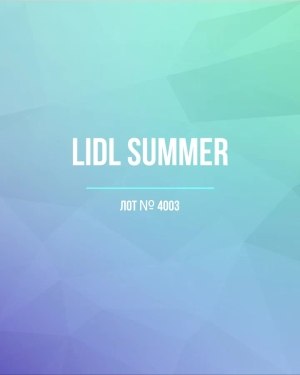 Купить LIDL Summer#20 кг, ЛОТ №4003 оптом в Москве и Московской области