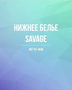 Купить Нижнее белье Savage#50 шт, ЛОТ №4038 оптом в Москве и Московской области