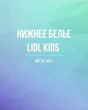 Купить Нижнее белье LIDL Kids#5 кг, ЛОТ №4231 оптом в Москве и Московской области