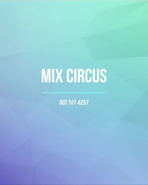 Купить CIRCUS mix #13 кг, ЛОТ №4257 оптом в Москве и Московской области