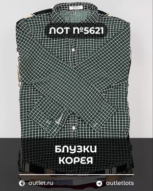 Купить Блузки Корея#20 шт, ЛОТ №5621 оптом в Москве и Московской области