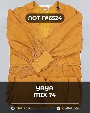 Купить YA YA 062024#39 шт, ЛОТ №6524 оптом в Москве и Московской области