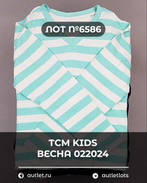 Купить TCM Kids весна 022024#7 кг, ЛОТ №6586 оптом в Москве и Московской области