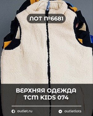 Купить Верхняя одежда TCM kids 074#7 кг, ЛОТ №6681 оптом в Москве и Московской области