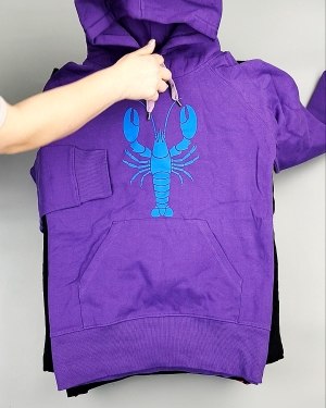 Фотография  331 - Толстовки м/ж (Sweat Tops)#20 кг, ЛОТ №7431 оптом в Москве и Московской области