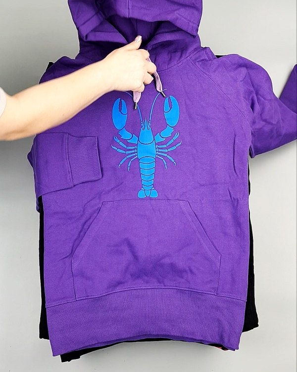 Фотография  279 - Толстовки м/ж (Sweat Tops)#20 кг, ЛОТ №7431 оптом в Москве и Московской области