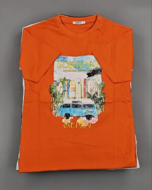 Купить Футболки мужские C-3141 (MEN T-shirt Sorbino) #4,8 кг оптом в Москве и Московской области