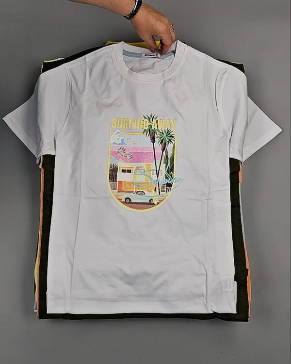 Фотография  436 - Футболки мужские C-3141 (MEN T-shirt Sorbino) #4,8 кг, ЛОТ №8835 оптом в Москве и Московской области