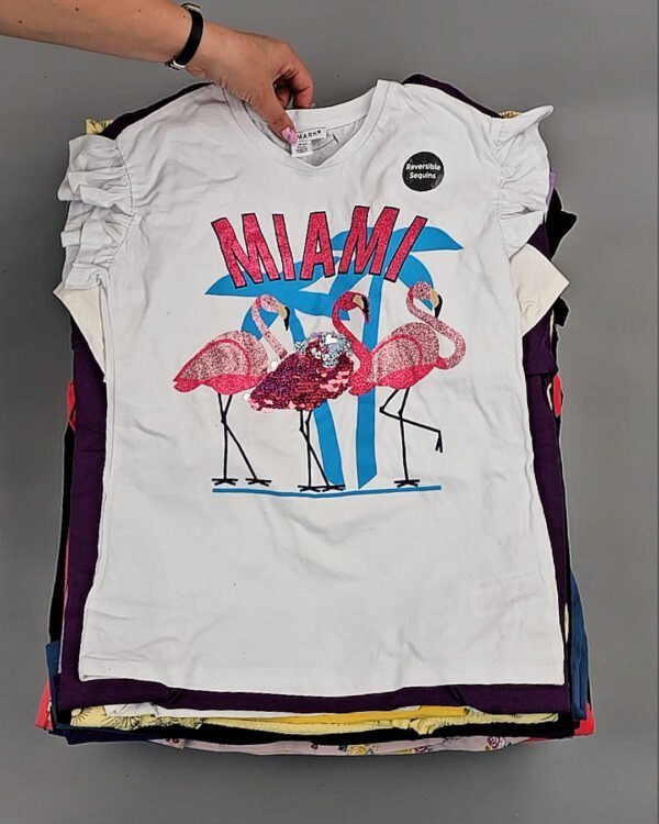 Фотография  757 - Футболки#10 кг, ЛОТ № ВК0109 оптом в Москве и Московской области